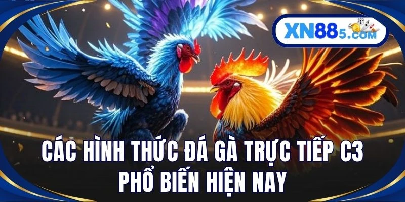 Các hình thức đá gà trực tiếp C3 phổ biến hiện nay