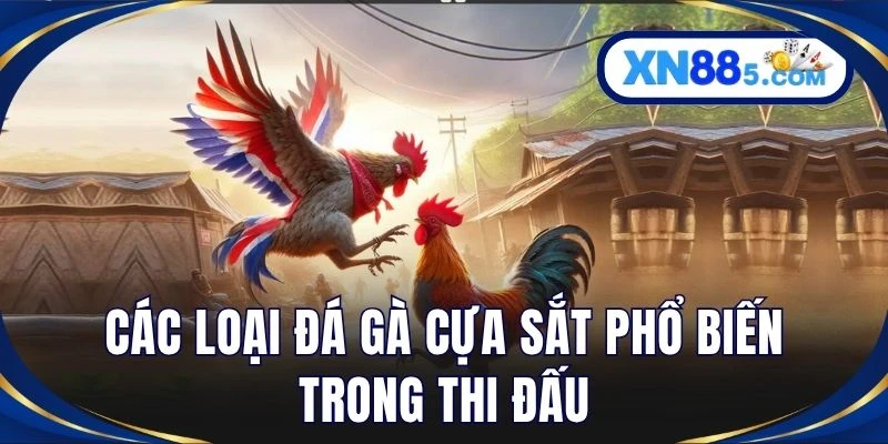Các loại đá gà cựa sắt phổ biến trong thi đấu