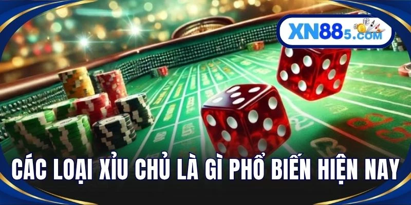 Các loại xỉu chủ là gì phổ biến hiện nay