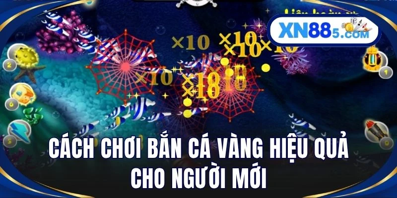 Cách chơi bắn cá vàng hiệu quả cho người mới