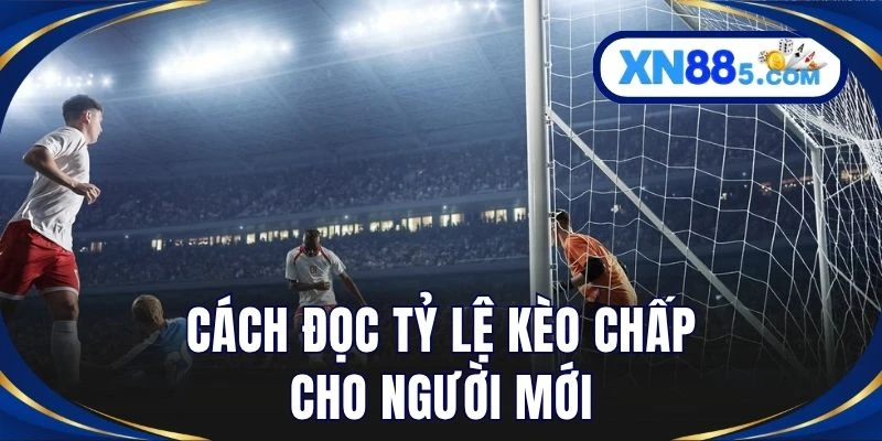 Cách đọc tỷ lệ kèo chấp cho người mới