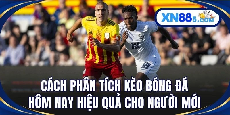 Cách phân tích kèo bóng đá hôm nay hiệu quả cho người mới