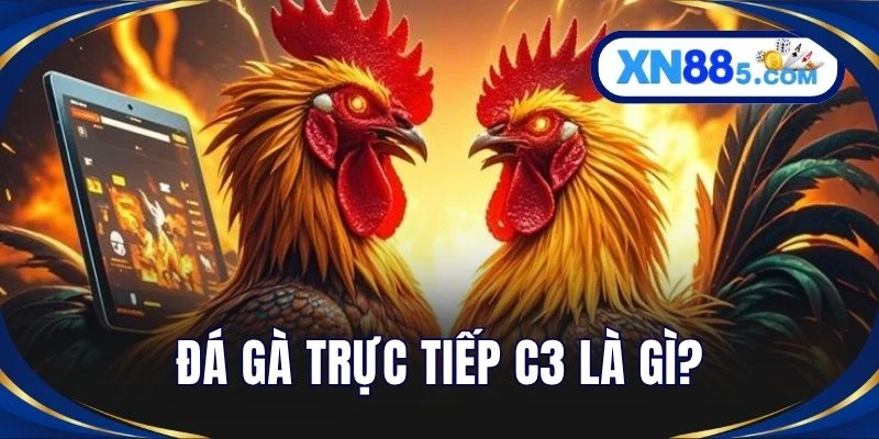 Đá gà trực tiếp C3 là gì?