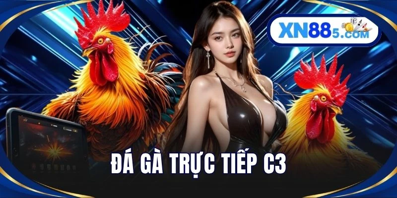 Đá Gà Trực Tiếp C3