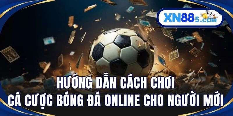 Hướng dẫn cách chơi cá cược bóng đá online cho người mới