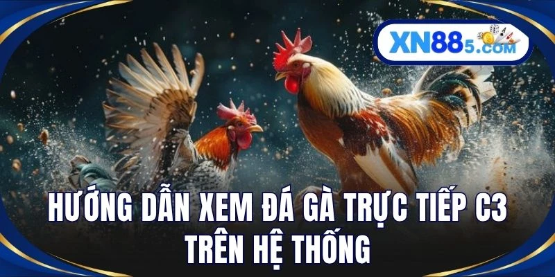 Hướng dẫn xem đá gà trực tiếp C3 trên hệ thống