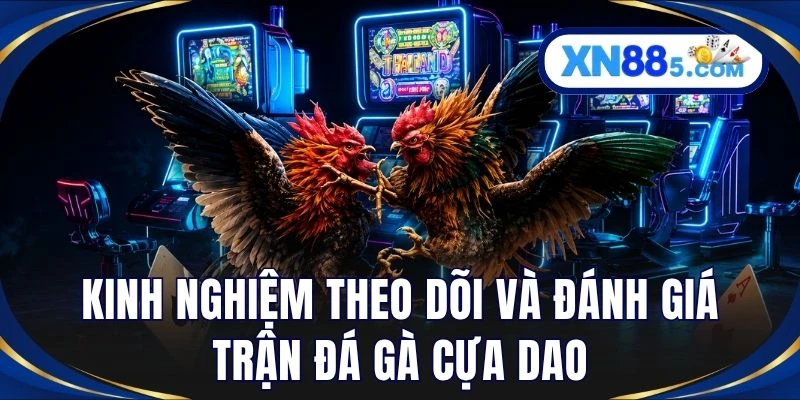 Kinh nghiệm theo dõi và đánh giá trận đá gà cựa dao