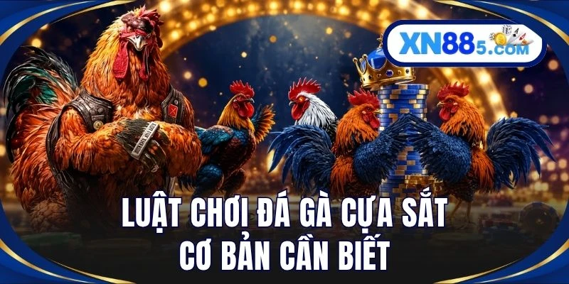 Luật chơi đá gà cựa sắt cơ bản cần biết