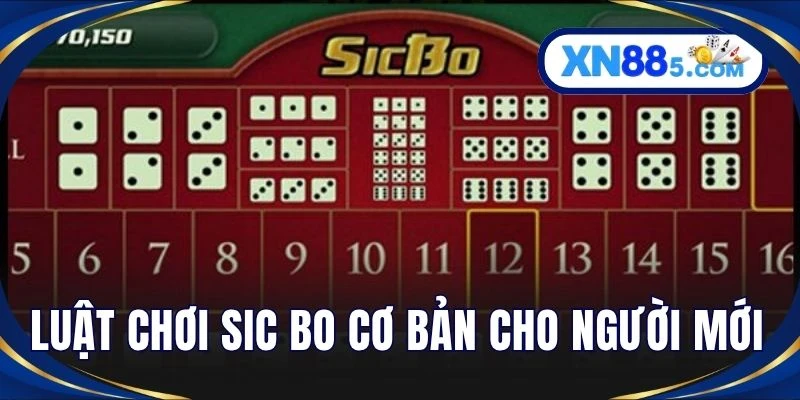 Luật chơi Sic Bo cơ bản cho người mới