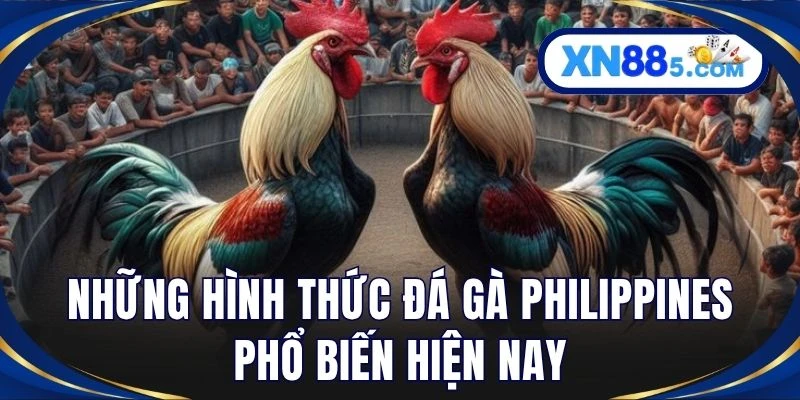 Những hình thức đá gà Philippines phổ biến hiện nay