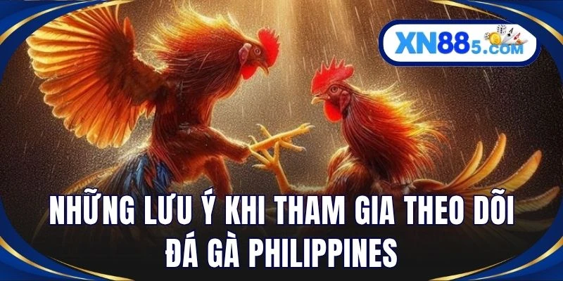 Những lưu ý khi tham gia theo dõi đá gà Philippines