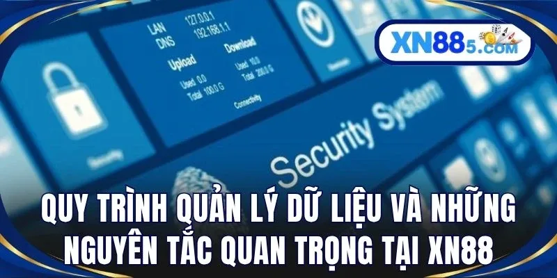 Quy trình quản lý dữ liệu và những nguyên tắc quan trọng tại XN88