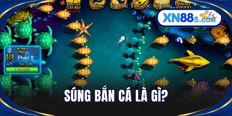 Súng bắn cá là gì?