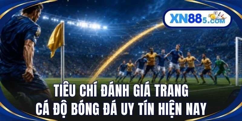 Tiêu chí đánh giá trang cá độ bóng đá uy tín hiện nay