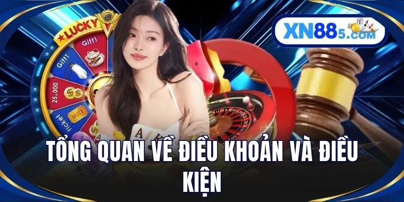 Tổng quan về điều khoản và điều kiện