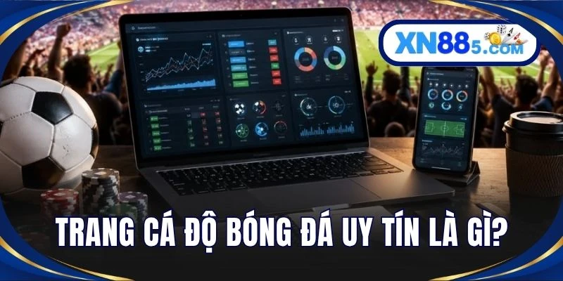 Trang cá độ bóng đá uy tín là gì?