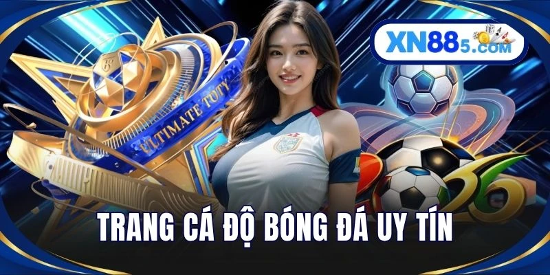 Trang Cá Độ Bóng Đá Uy Tín